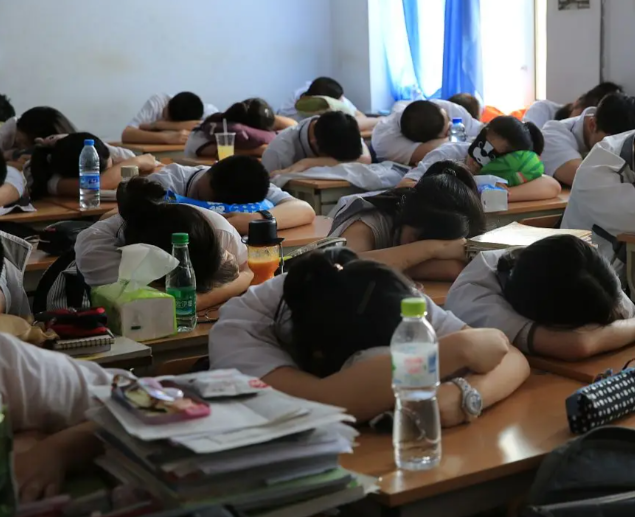 不同学段的特色设计出既契合学生认知又